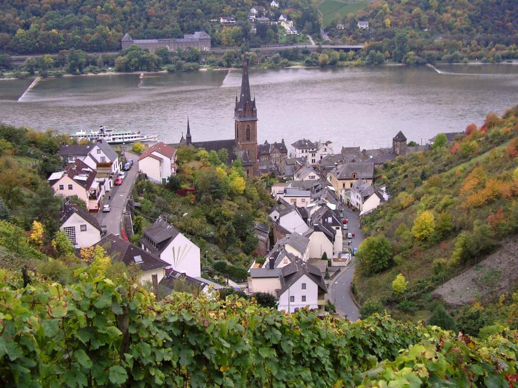 Apartamento Weingut Theodor Nies Lorch am Rhein Exterior foto